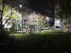 Да будет свет: новыми красками заиграл двор в округе №14 после установки освещения